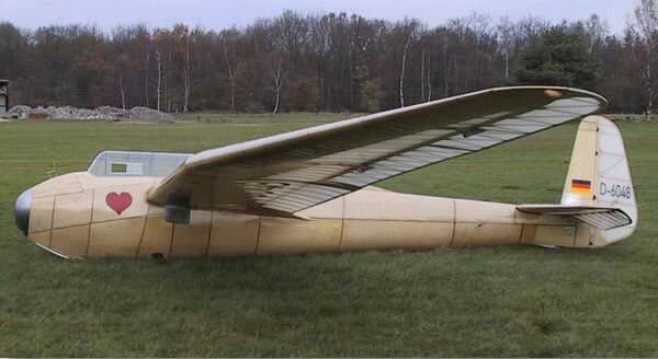 Before restoration - Renovace DFS Kranich II (D-6048)